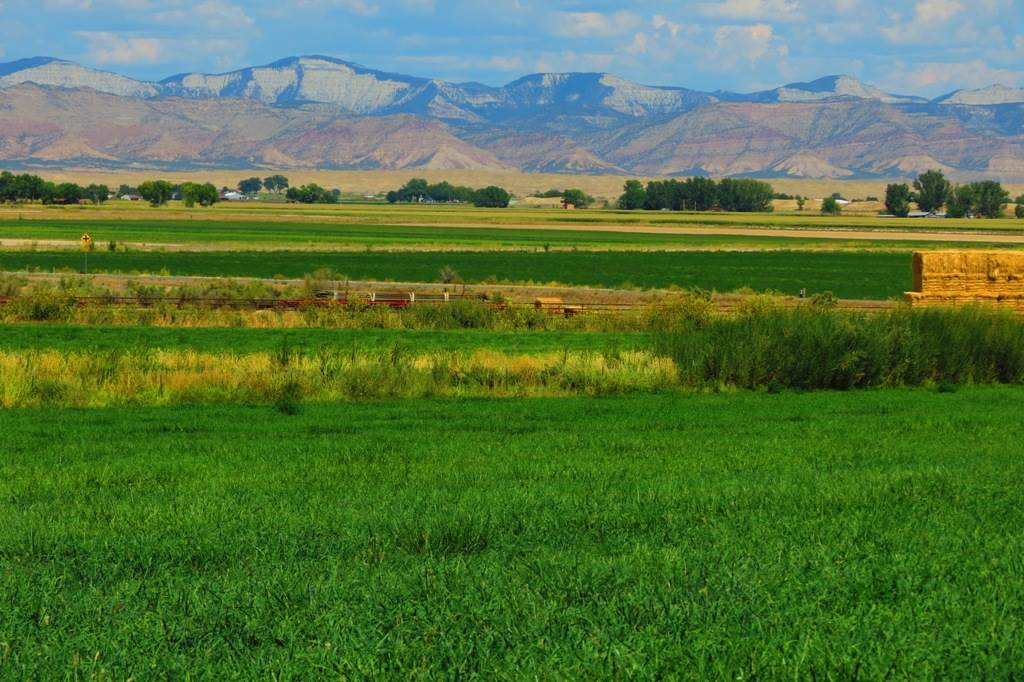 1296 O Road Loma, CO 81524 - Photo 4 of 41 a view of a city with mountains in the background