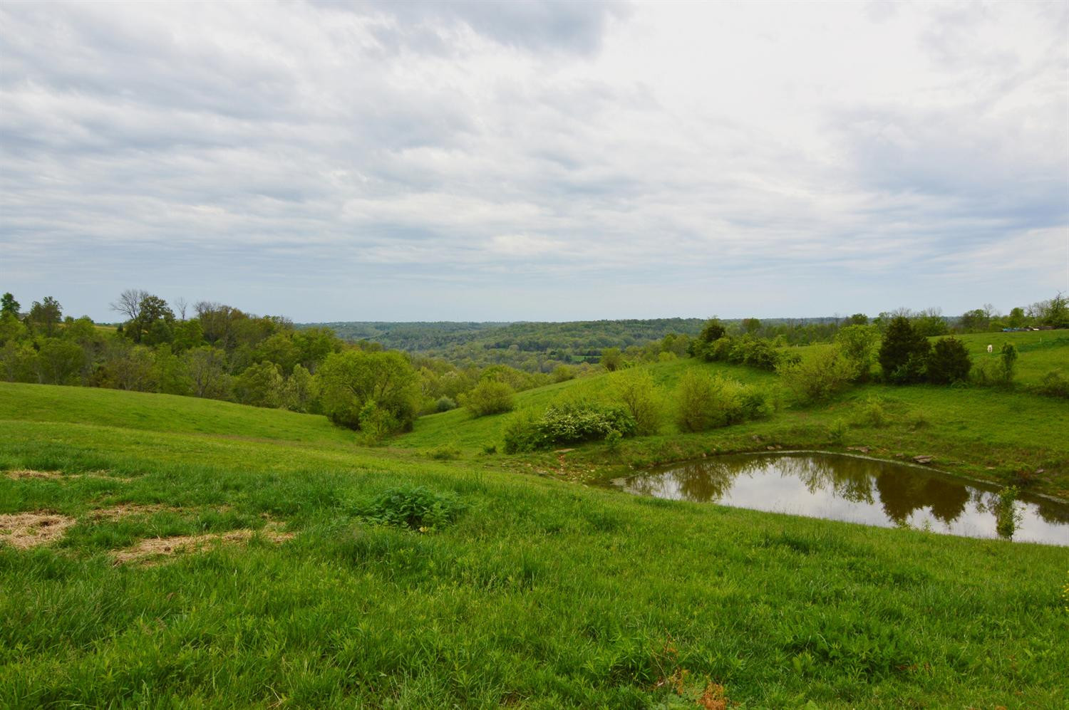 3561 Moffett Road, Unit 1 Morning View, KY 41063 - Photo 27 of 30