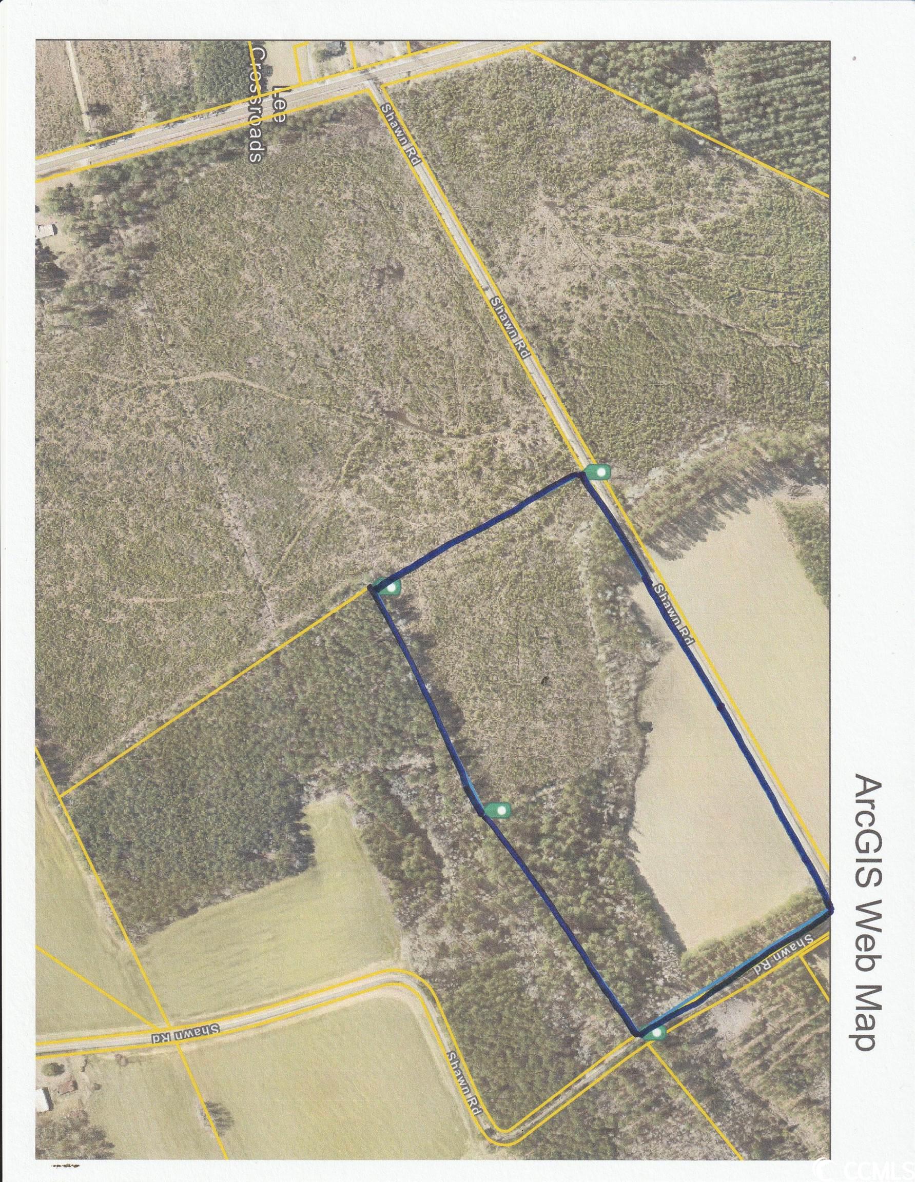 Tbd Shawn Road Lake City, SC 29560 - Photo 1 of 3