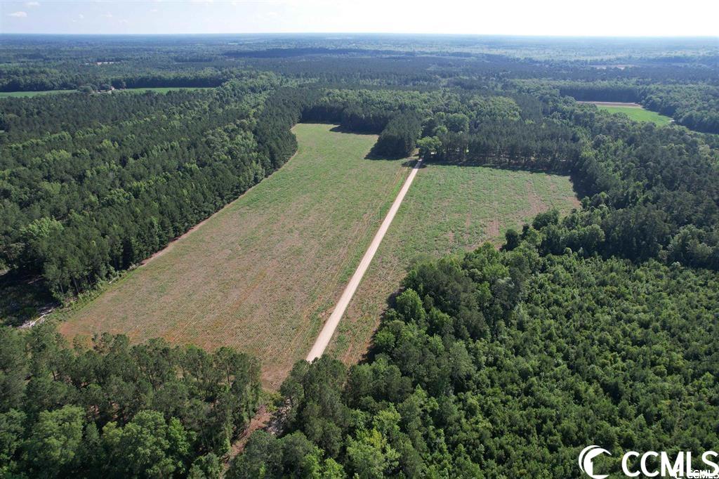 Tbd Shawn Road Lake City, SC 29560 - Photo 3 of 3