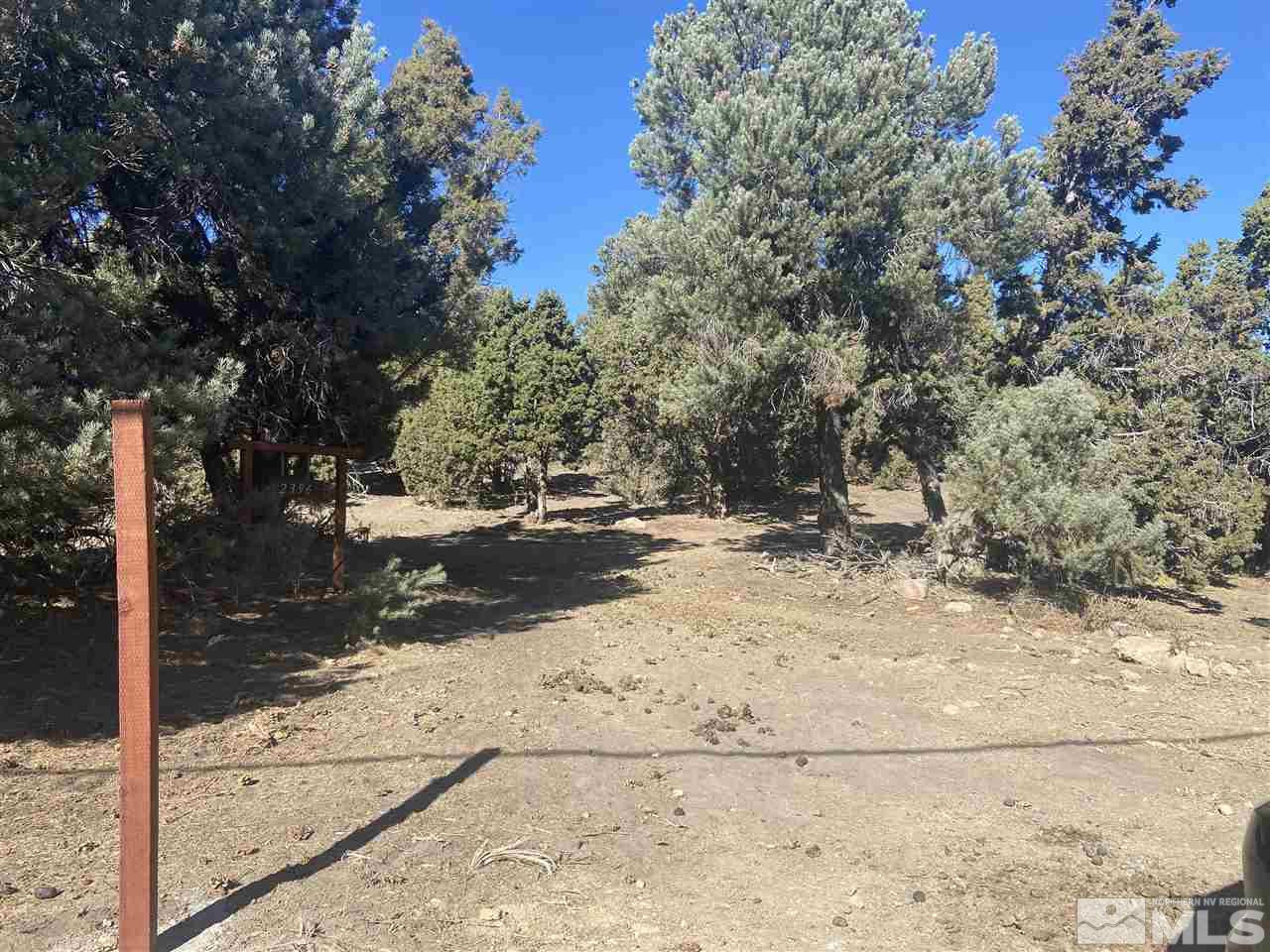 2396 Cartwright Road Reno, NV 89521 - Photo 1 of 4 a view of outdoor space yard and tree