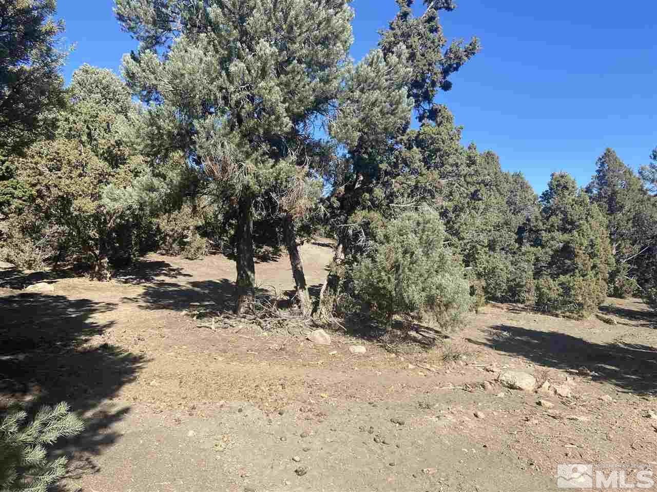2396 Cartwright Road Reno, NV 89521 - Photo 2 of 4 a view of a dirt road with trees