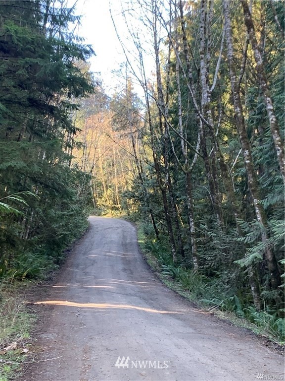 0 Southwest Berry Lake Road Port Orchard, WA 98367 - Photo 3 of 9 Gallery Image 3