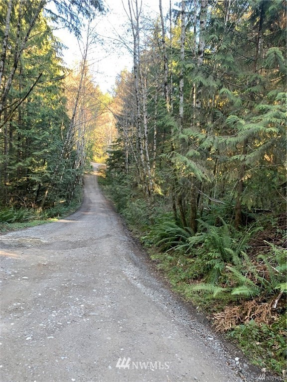 0 Southwest Berry Lake Road Port Orchard, WA 98367 - Photo 8 of 9 Gallery Image 8