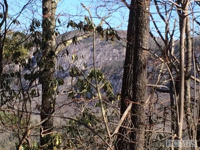 Lot 58 Ledgeview Road Cashiers, NC 28717 - Photo 1 of 1 Gallery Image 1