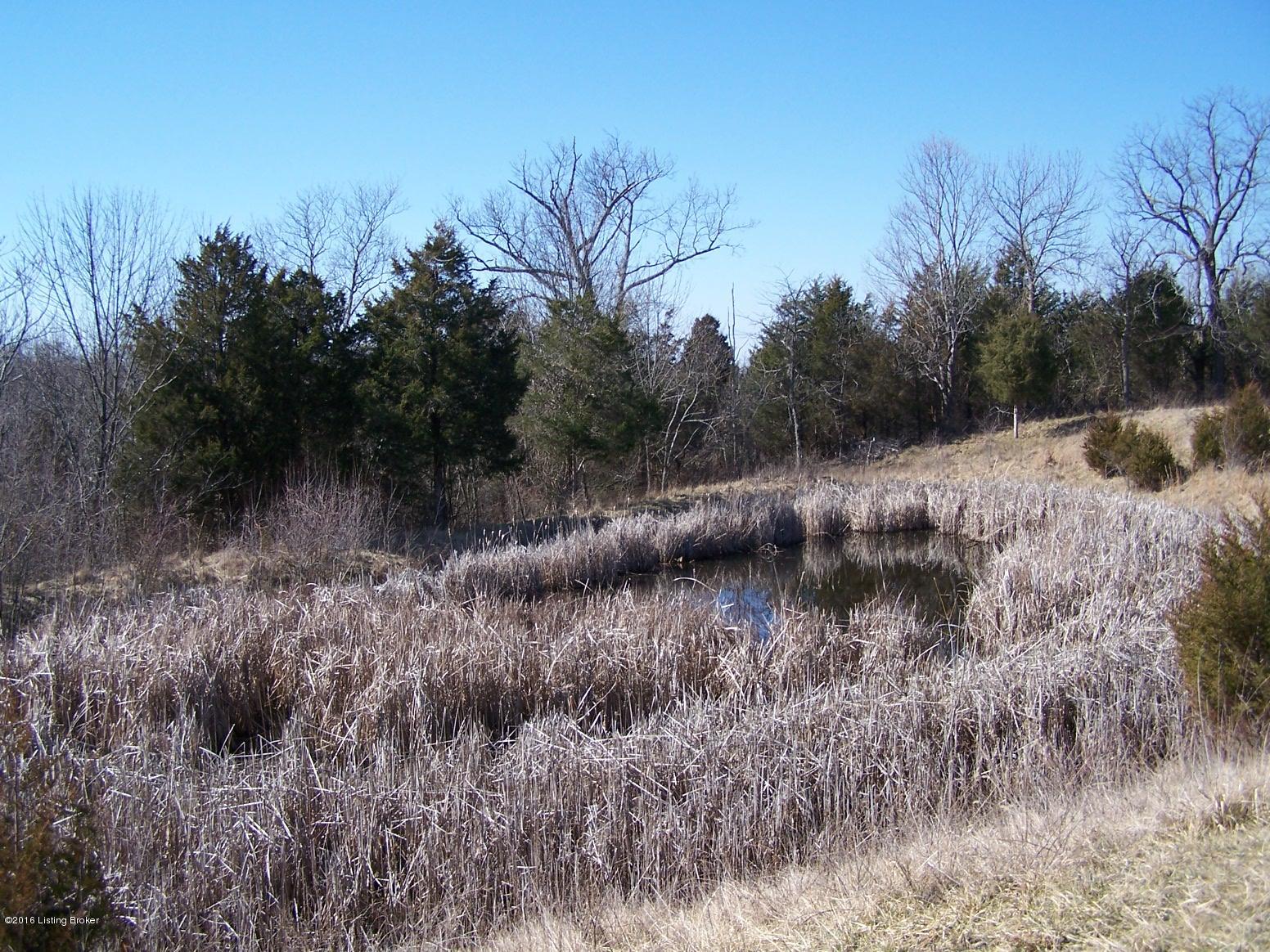 0 Dripping Springs Road Carrollton, KY 41008 - Photo 7 of 41 February 2016 049