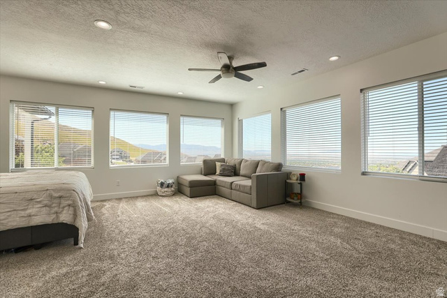 828 South Deer Road Tooele, UT 84074 - Photo 47 of 51 Spacious room featuring abundant natural light, recessed lighting, a ceiling fan, and extensive carpeting