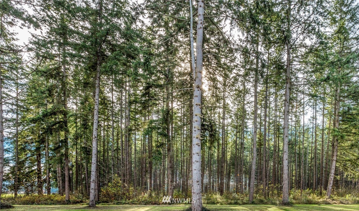 11404 Harris Road Southeast Yelm, WA 98597 - Photo 3 of 7 Gallery Image 3