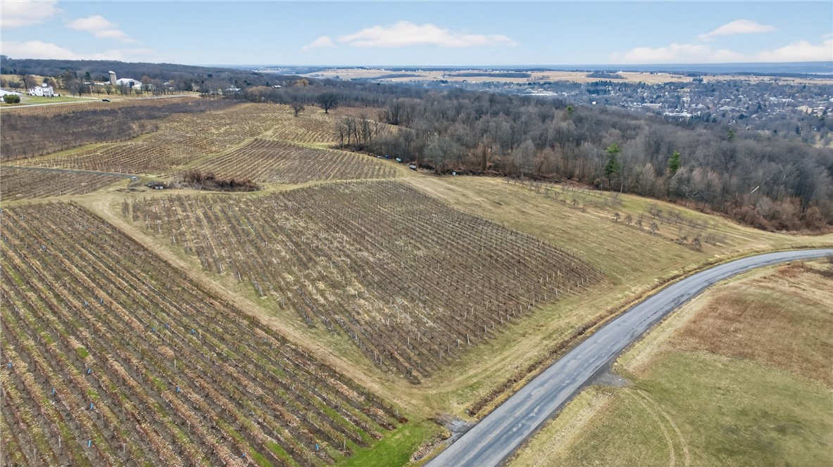 Sand Hill Road Penn Yan, NY 14527 - Photo 4 of 13