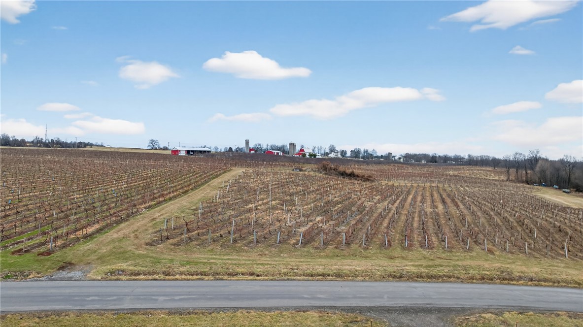 Sand Hill Road Penn Yan, NY 14527 - Photo 8 of 13