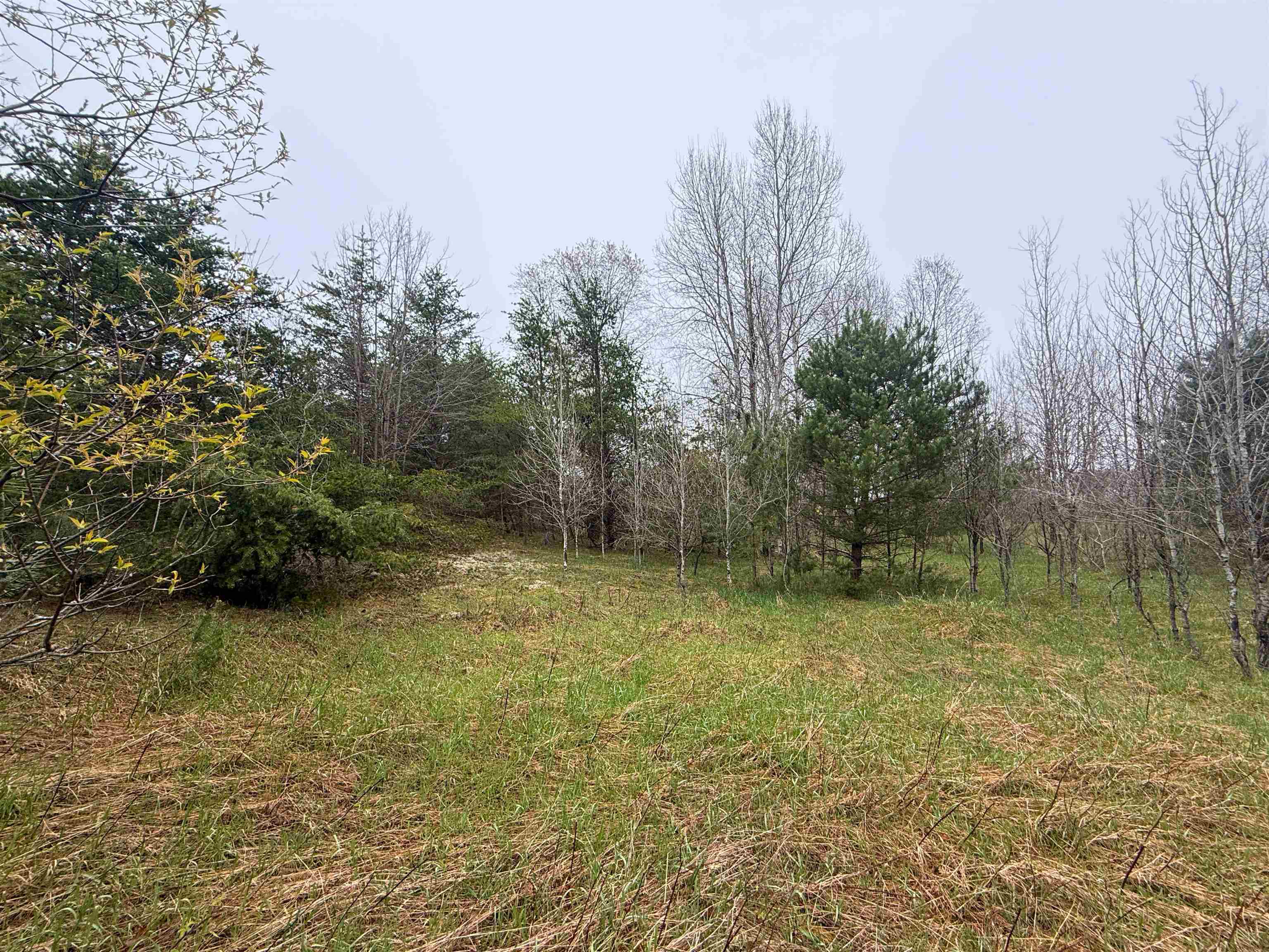 0 West County Line Road, Unit LOT: C Thompsonville, MI 49683 - Photo 11 of 21