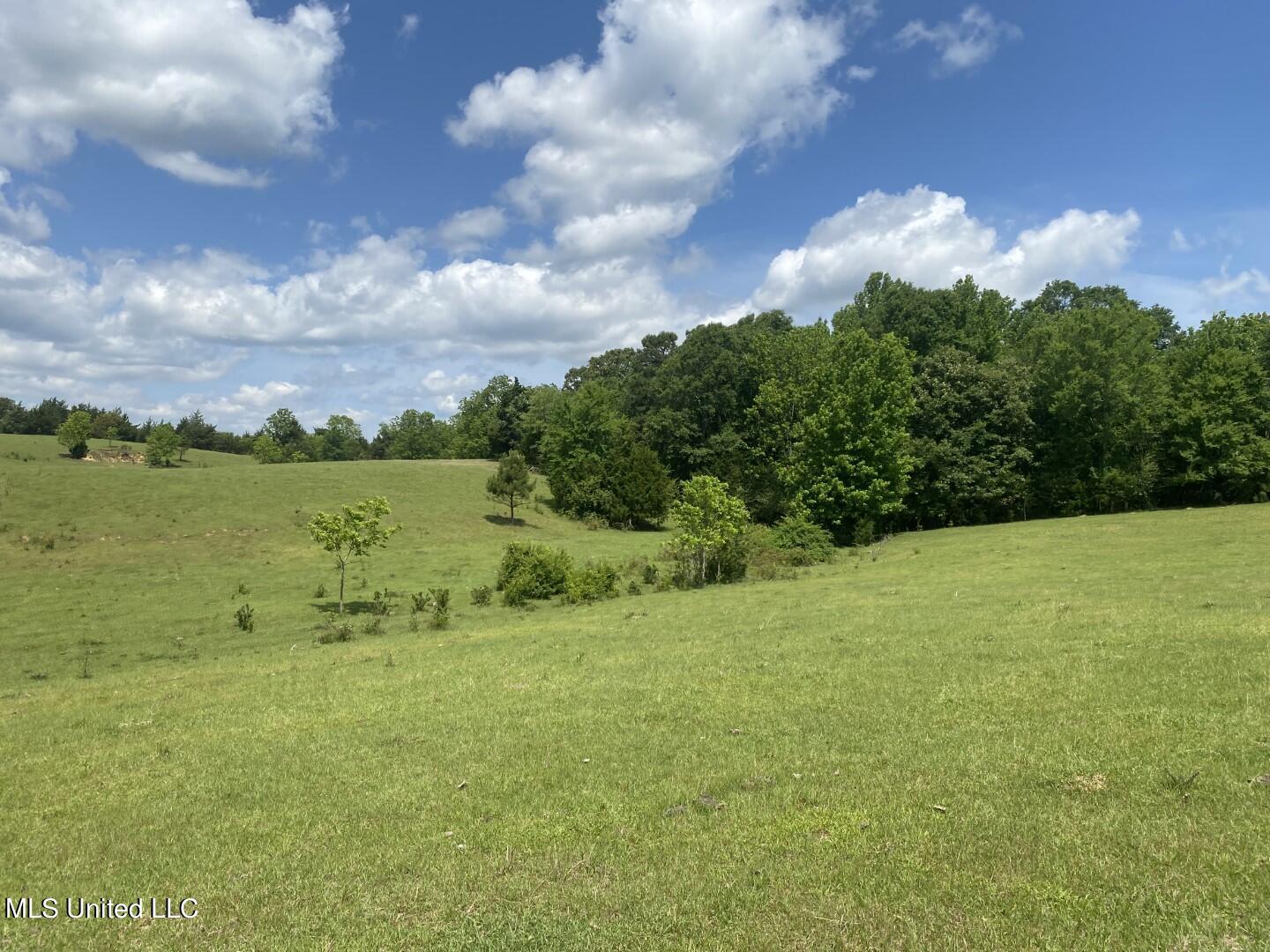 Beulah Grove Road Lexington, MS 39095 - Photo 12 of 58 15
