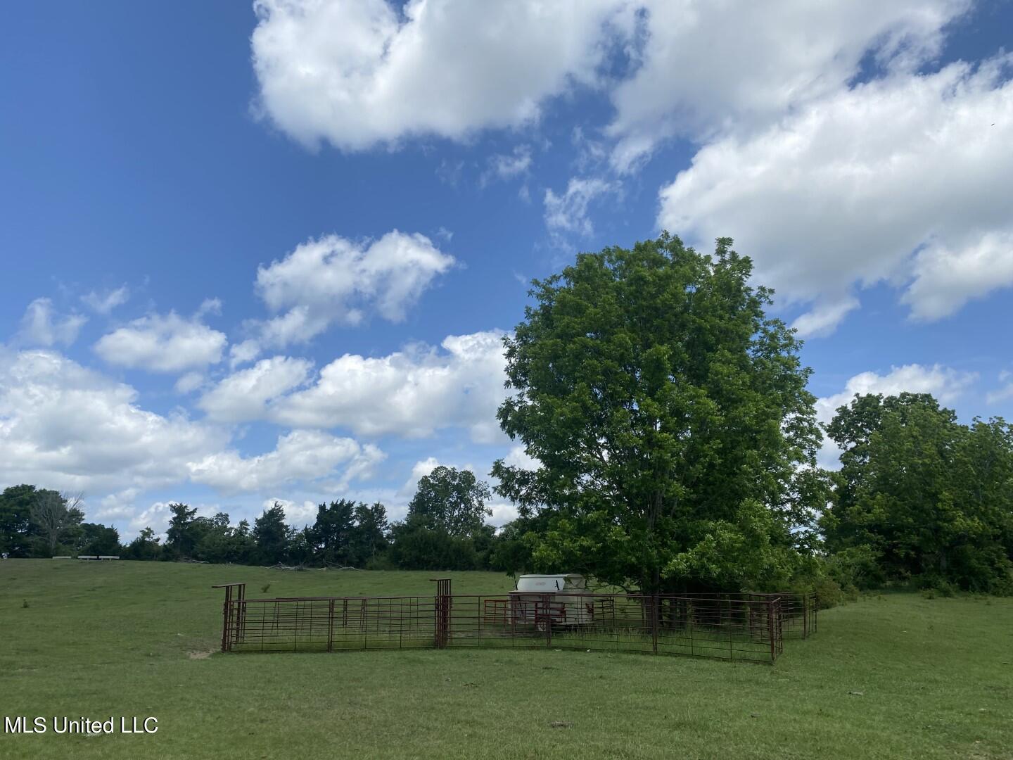Beulah Grove Road Lexington, MS 39095 - Photo 17 of 58 22