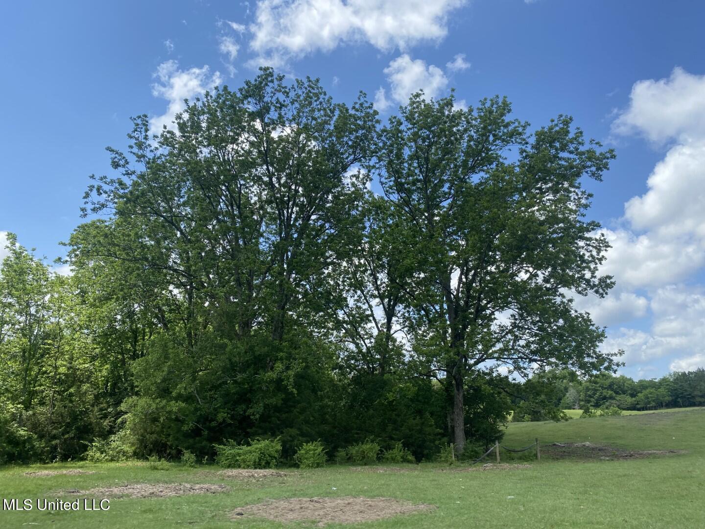 Beulah Grove Road Lexington, MS 39095 - Photo 18 of 58 23