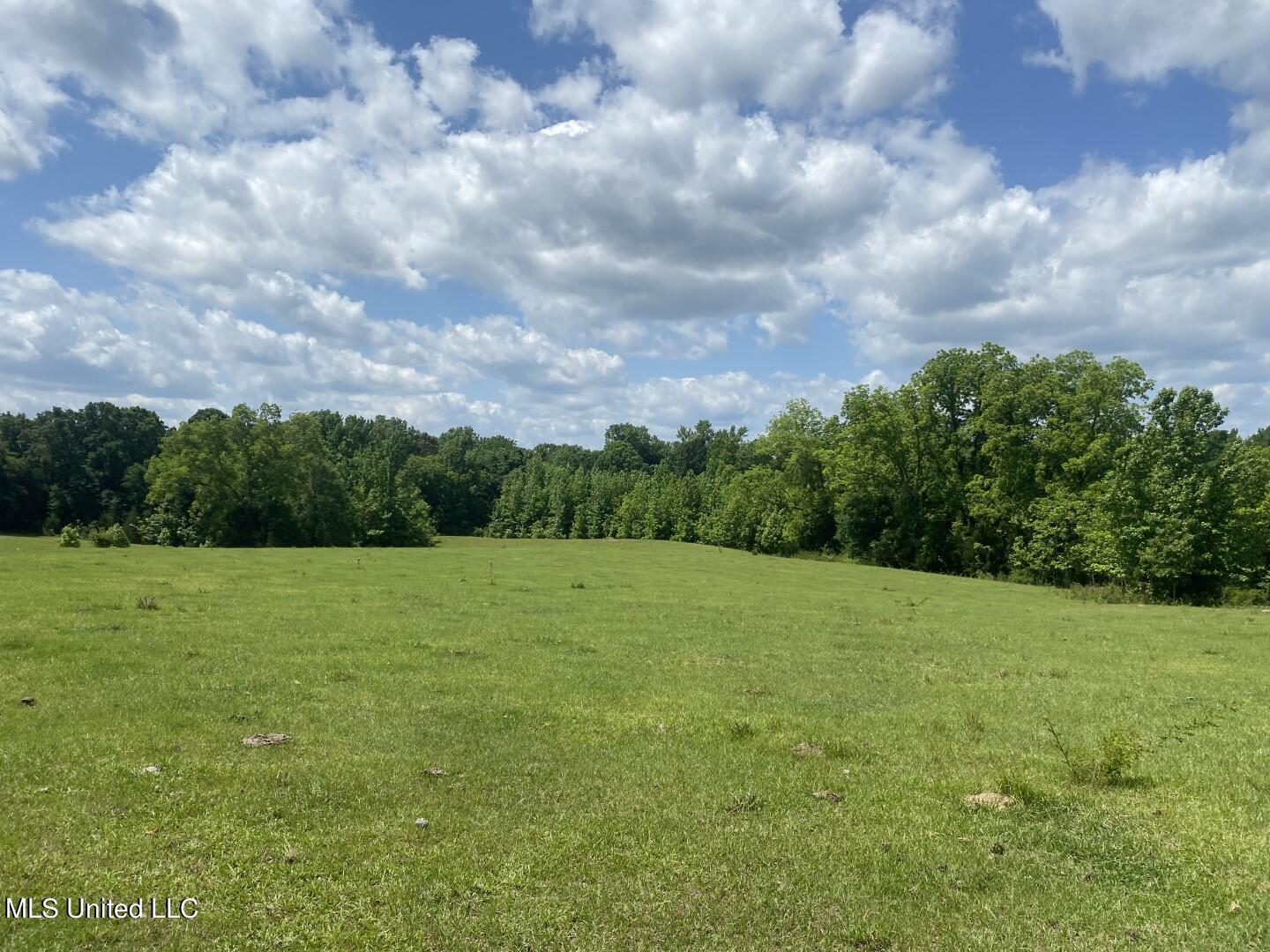 Beulah Grove Road Lexington, MS 39095 - Photo 19 of 58 24