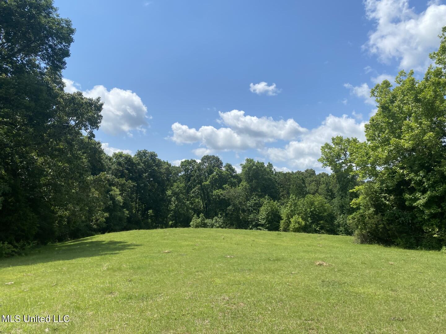Beulah Grove Road Lexington, MS 39095 - Photo 2 of 58 2