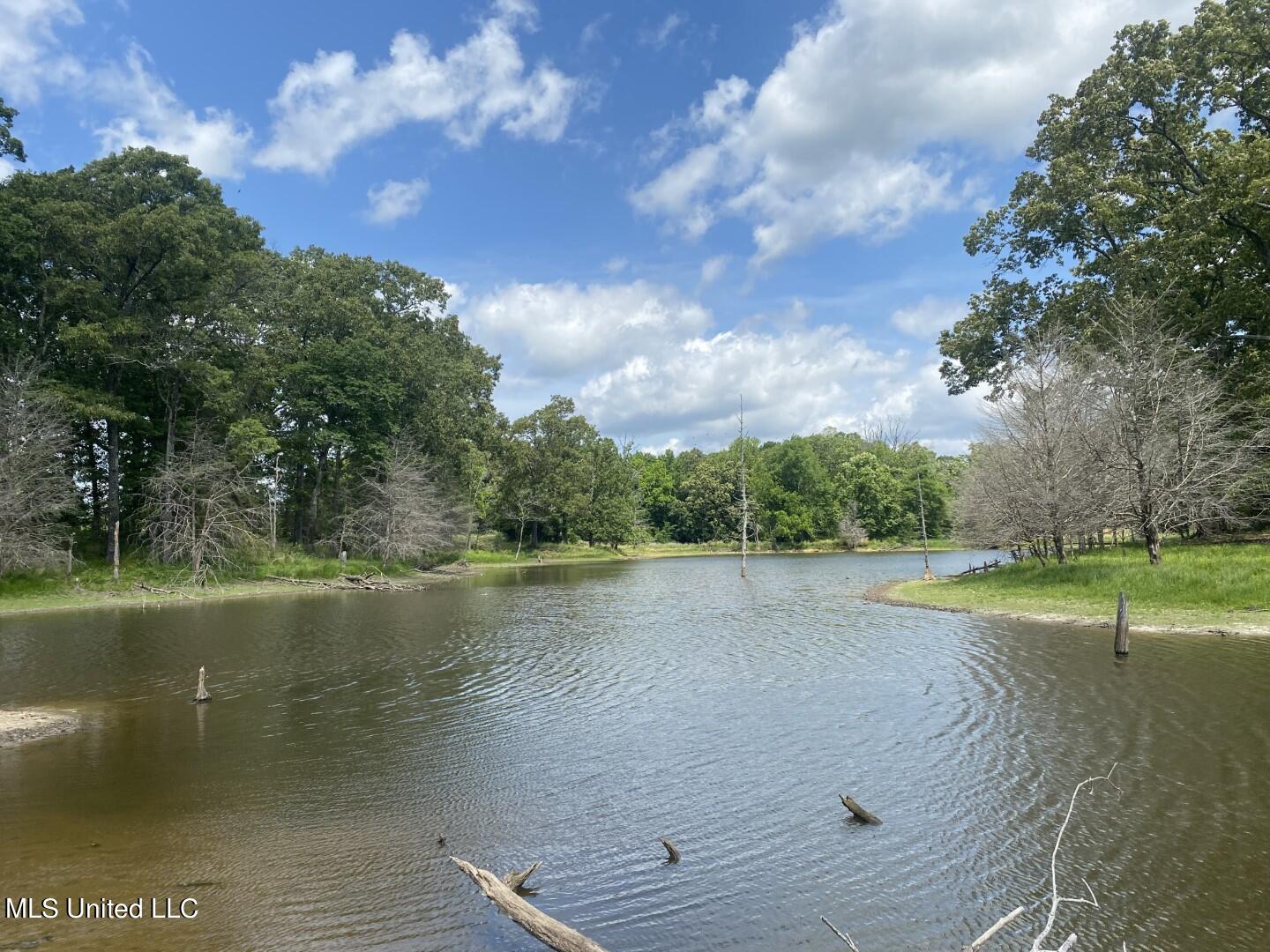Beulah Grove Road Lexington, MS 39095 - Photo 25 of 58 33