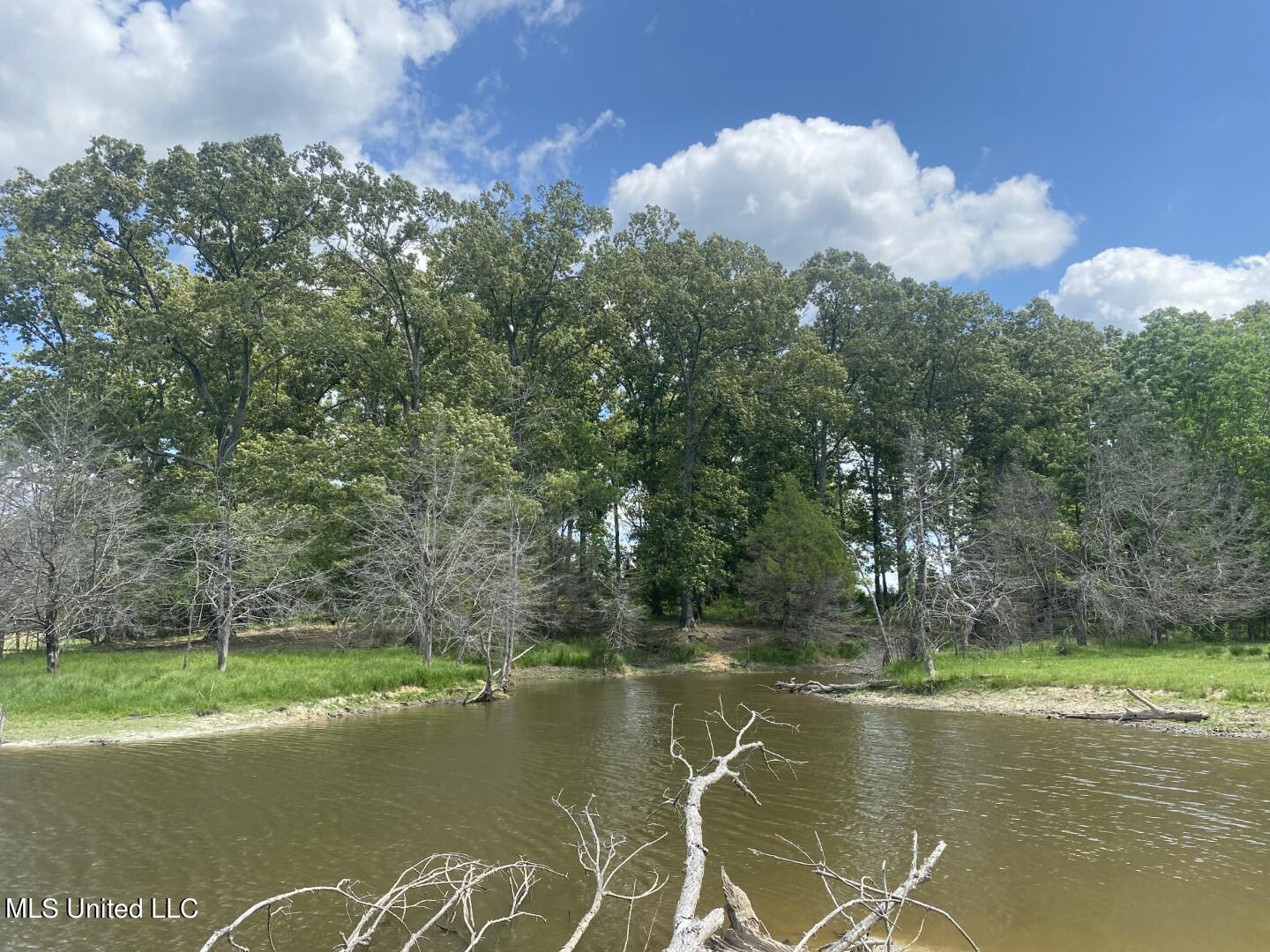 Beulah Grove Road Lexington, MS 39095 - Photo 26 of 58 34