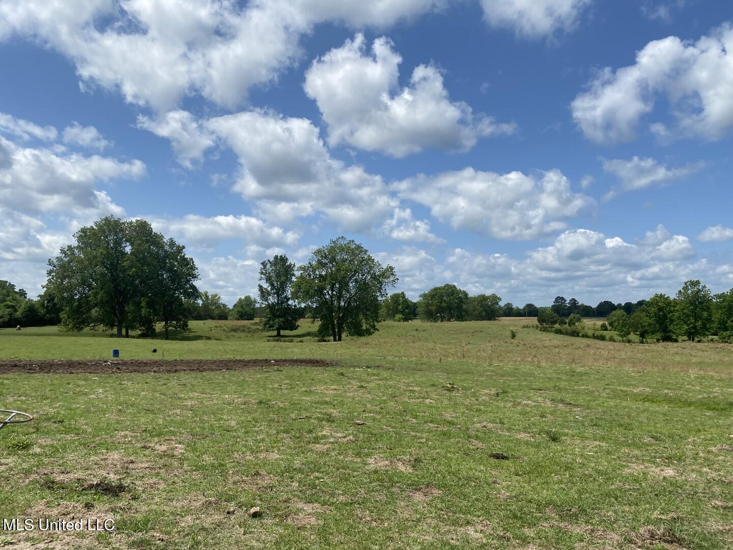 Beulah Grove Road Lexington, MS 39095 - Photo 30 of 58 38