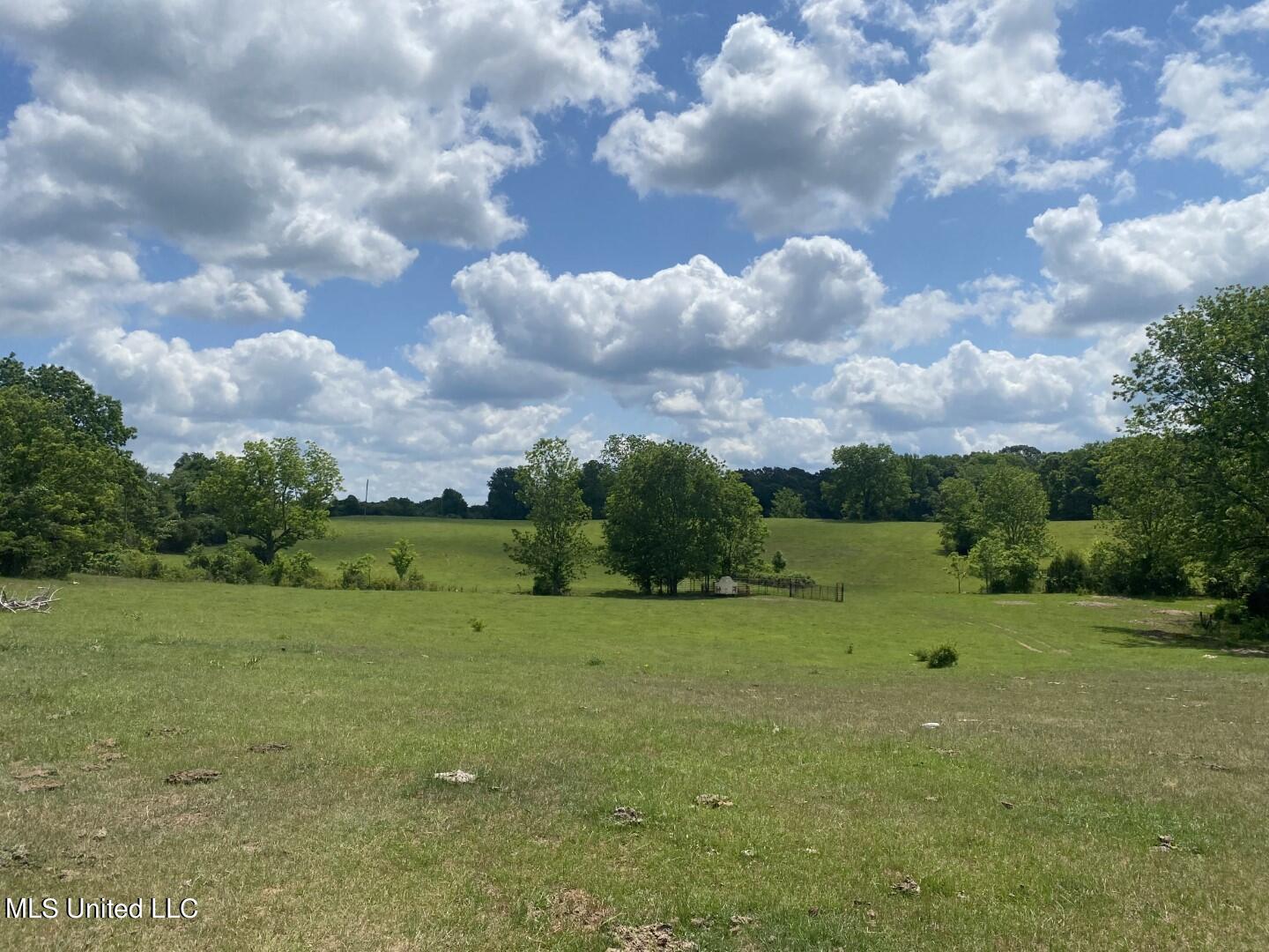 Beulah Grove Road Lexington, MS 39095 - Photo 34 of 58 42