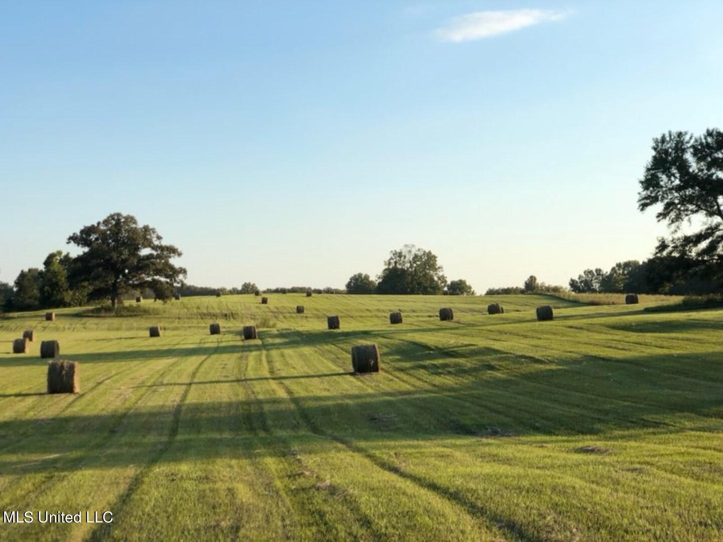 Beulah Grove Road Lexington, MS 39095 - Photo 4 of 58 4