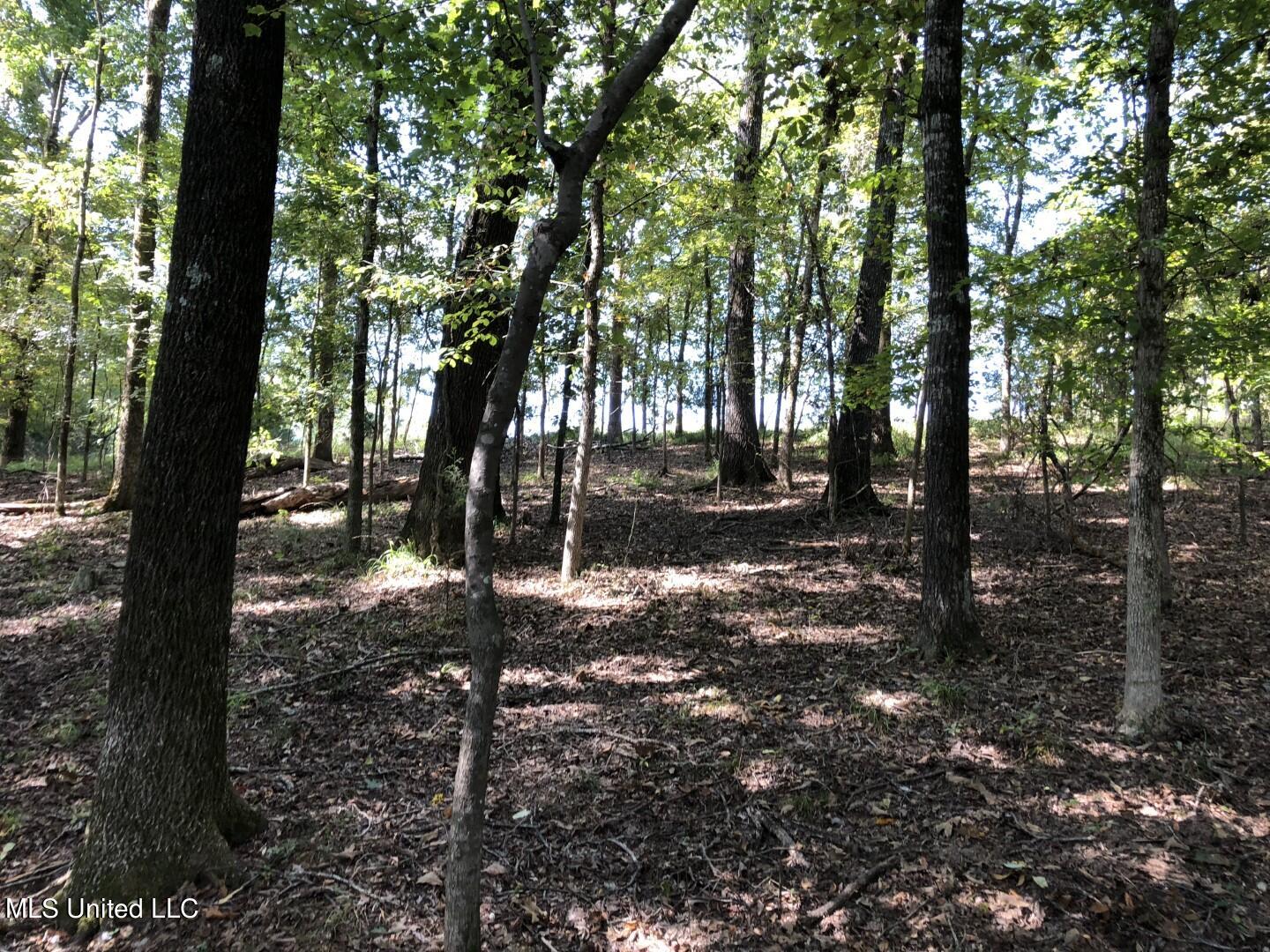 Beulah Grove Road Lexington, MS 39095 - Photo 42 of 58 52