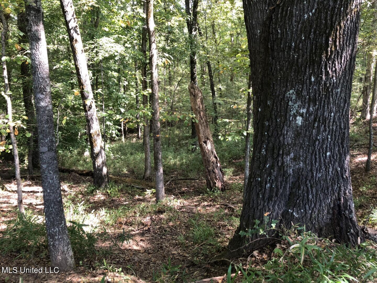 Beulah Grove Road Lexington, MS 39095 - Photo 45 of 58 57