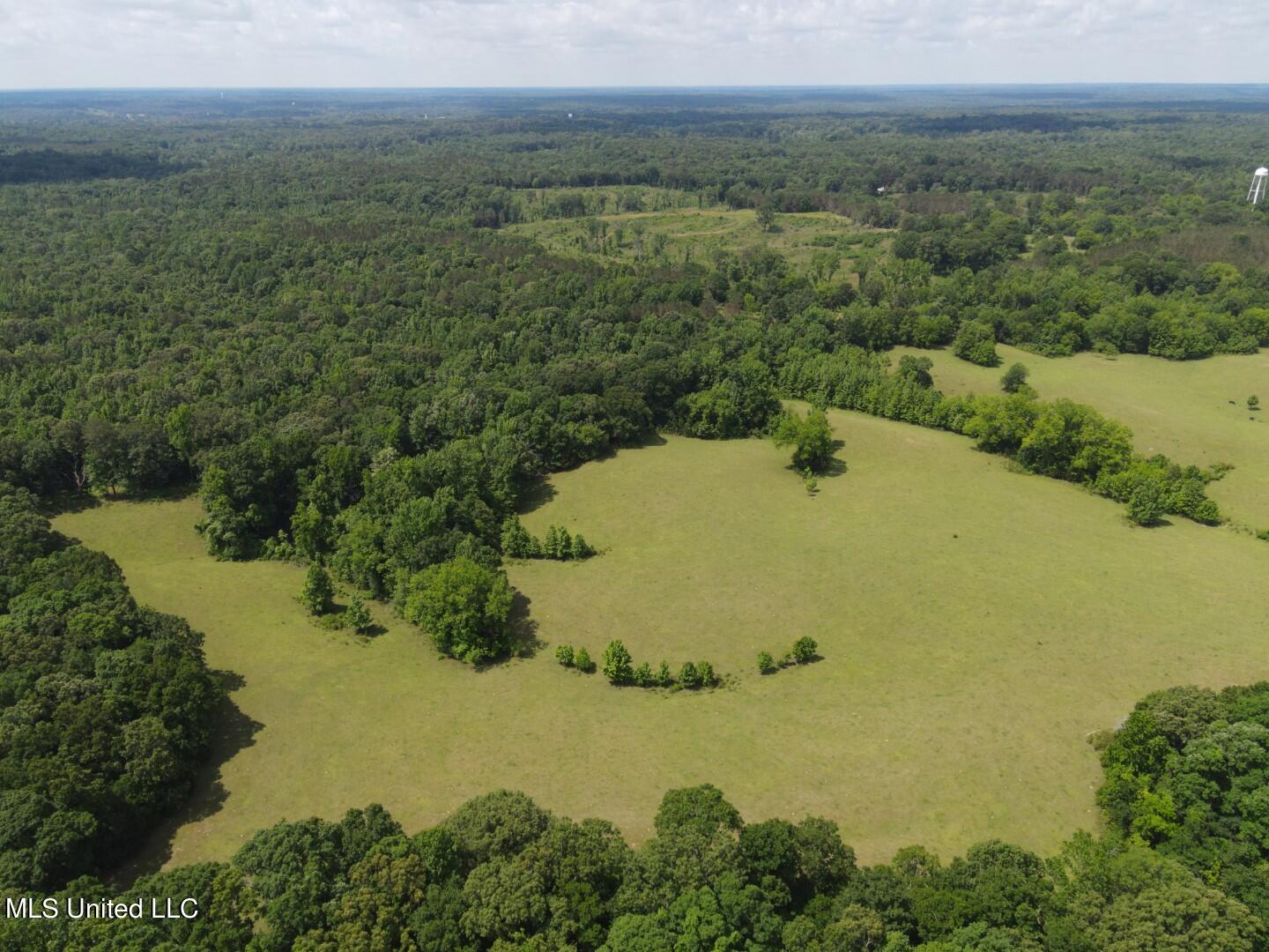 Beulah Grove Road Lexington, MS 39095 - Photo 46 of 58 58