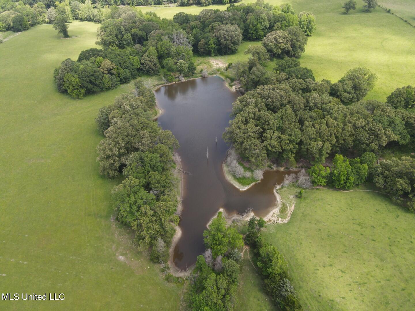 Beulah Grove Road Lexington, MS 39095 - Photo 50 of 58 62