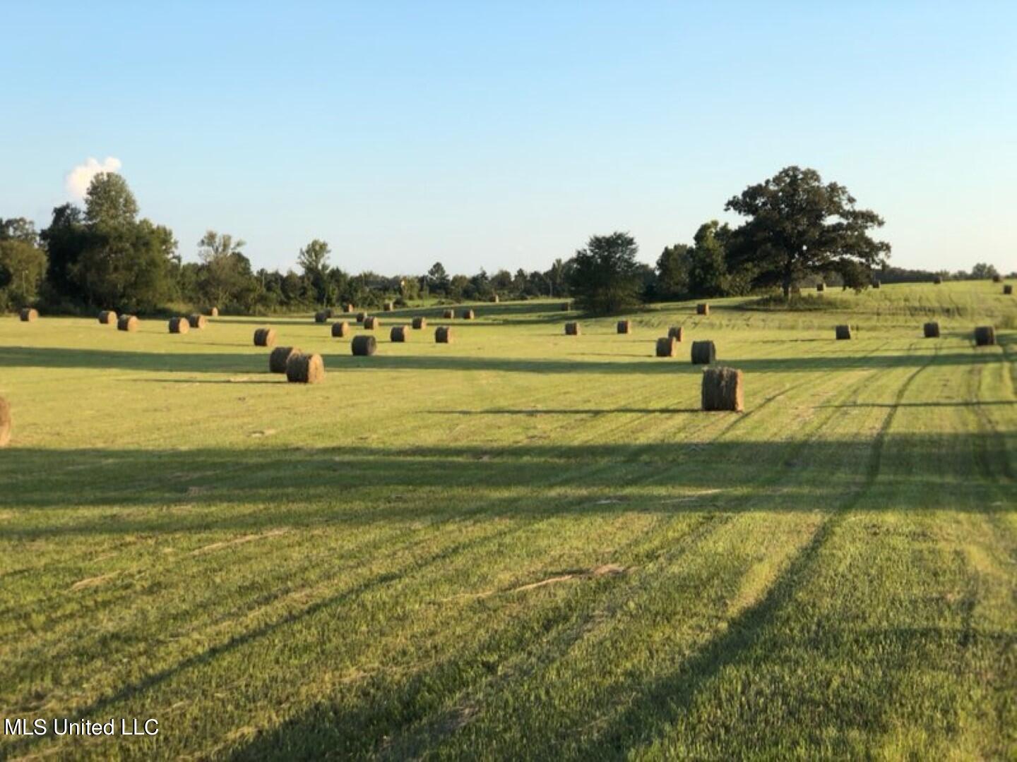 Beulah Grove Road Lexington, MS 39095 - Photo 5 of 58 5