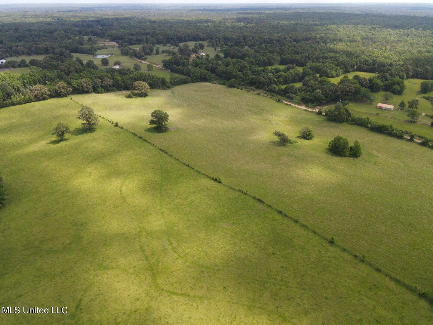 Beulah Grove Road Lexington, MS 39095 - Photo 51 of 58 63