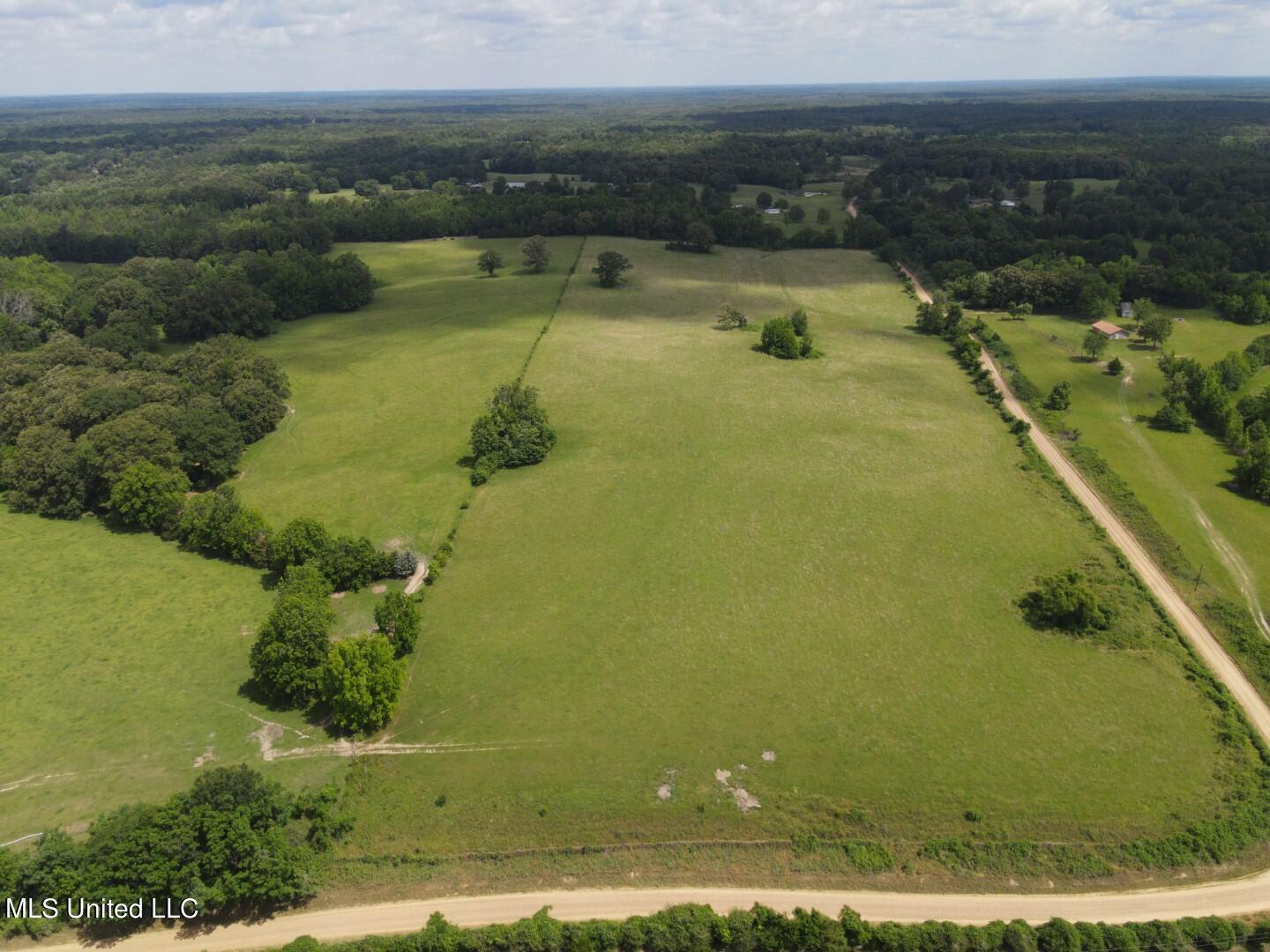 Beulah Grove Road Lexington, MS 39095 - Photo 52 of 58 64
