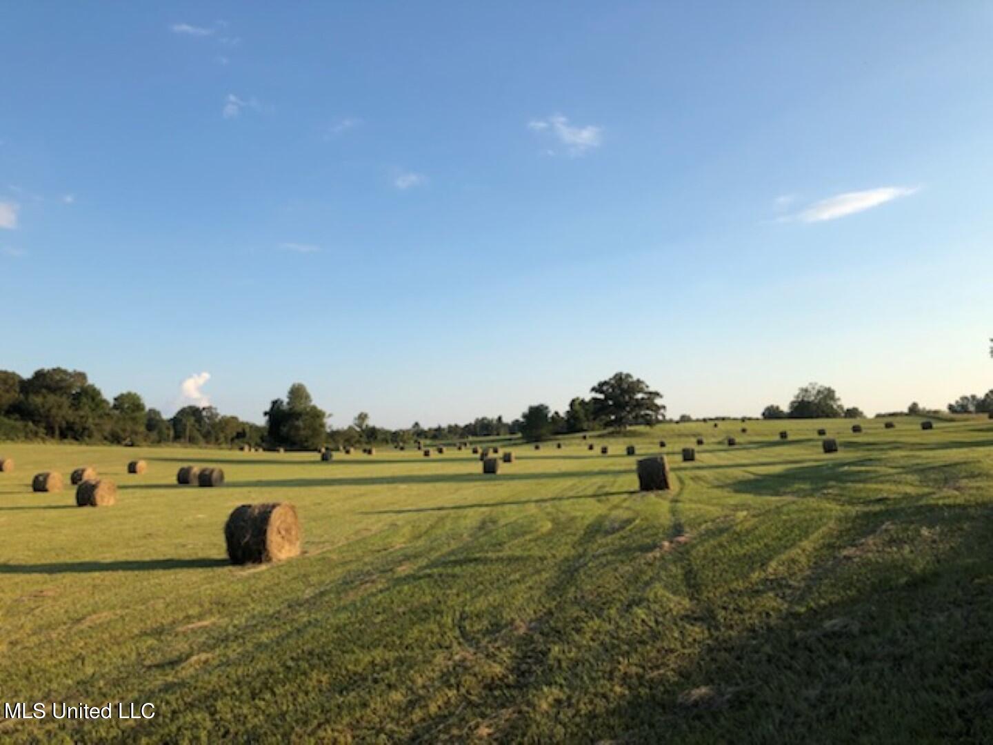 Beulah Grove Road Lexington, MS 39095 - Photo 6 of 58 6