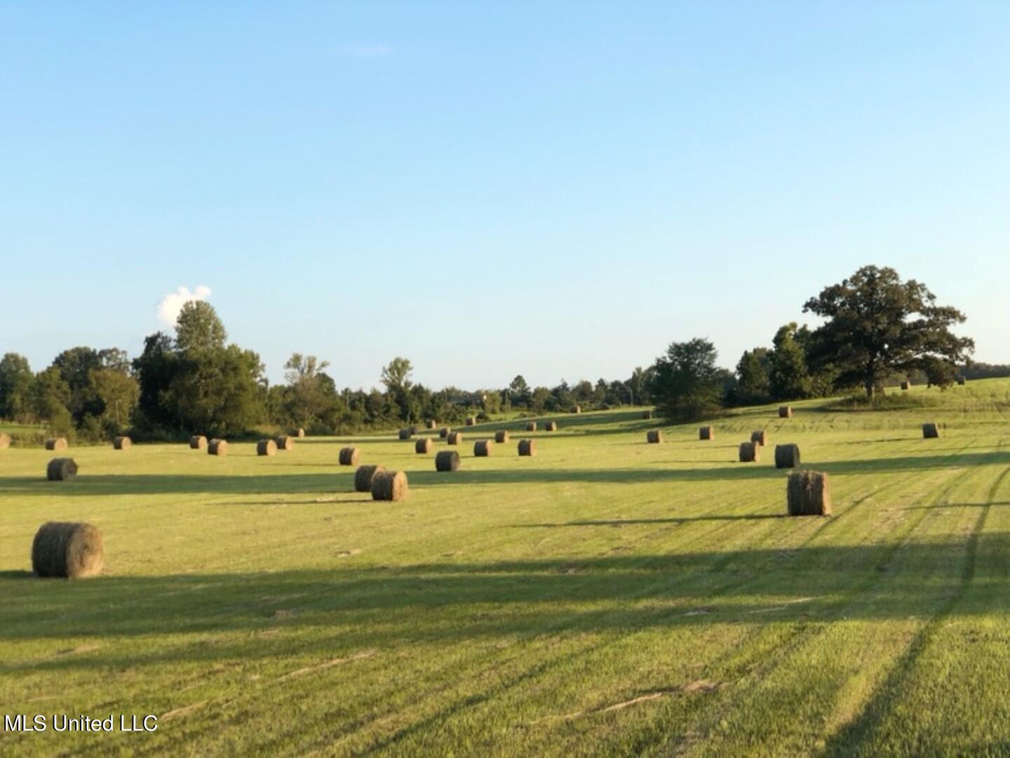 Beulah Grove Road Lexington, MS 39095 - Photo 7 of 58 7