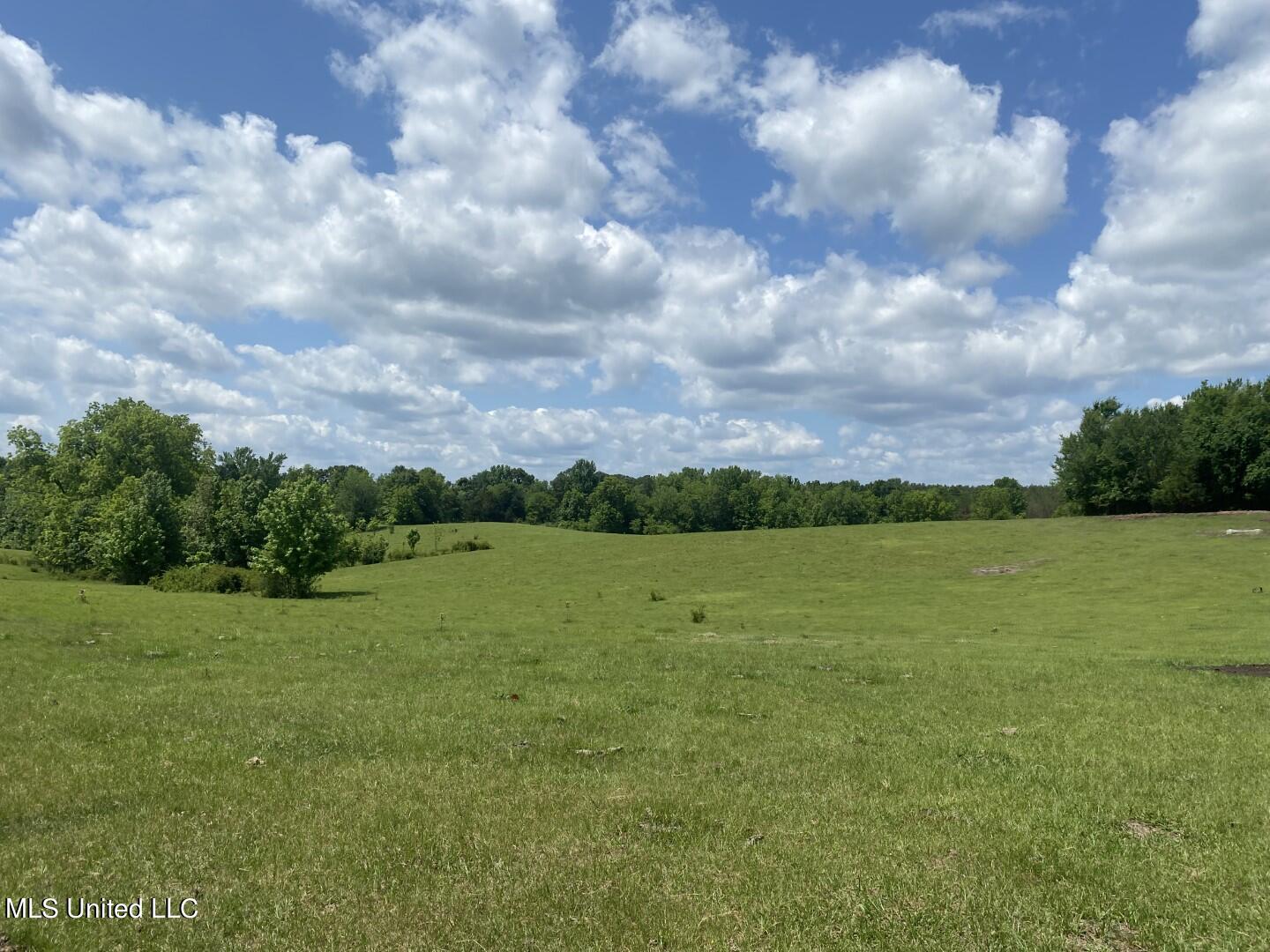 Beulah Grove Road Lexington, MS 39095 - Photo 9 of 58 11