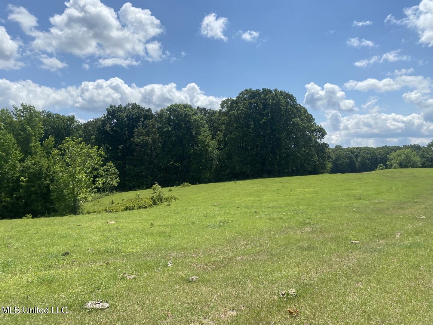 Beulah Grove Road Lexington, MS 39095 - Photo 10 of 58 12
