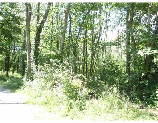 Lot #5 Truver Road Valencia, PA 16059 - Photo 3 of 3 Land/Lot.