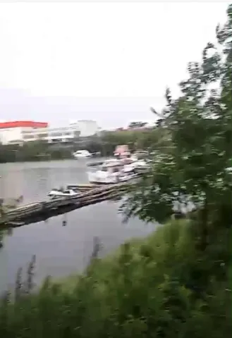 a view of a street with a tree