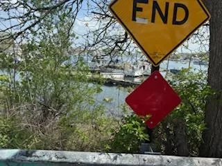 a view of a lake with large trees