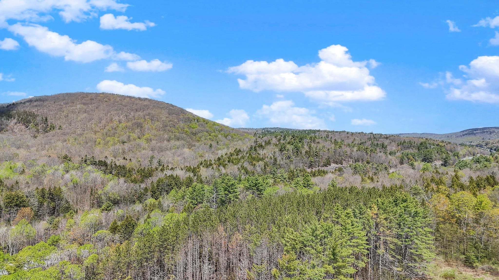 991 Rte 10 North Grantham, NH 03753 - Photo 8 of 57