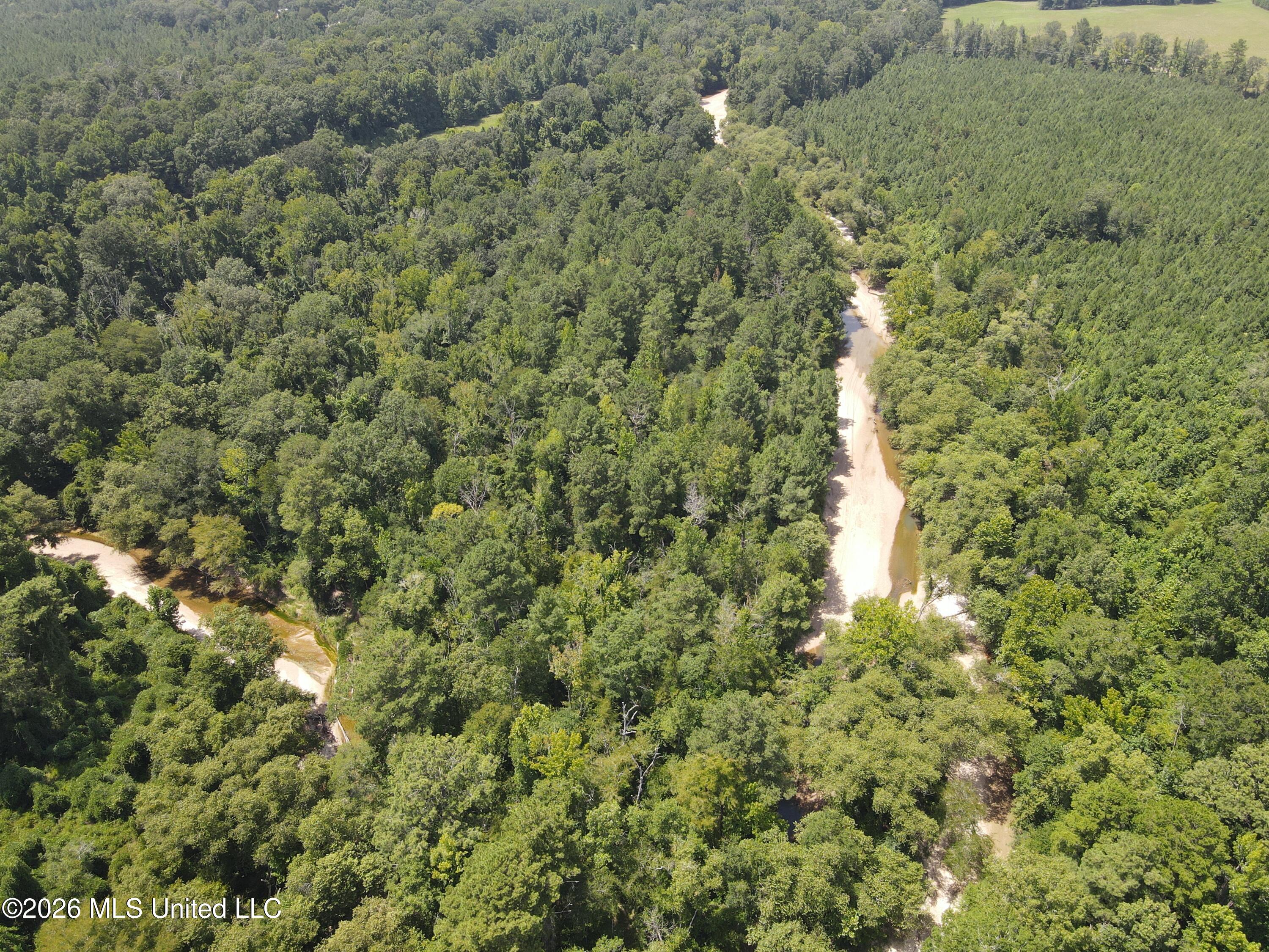 Oldenburg Road Roxie, MS 39661 - Photo 54 of 87 38079