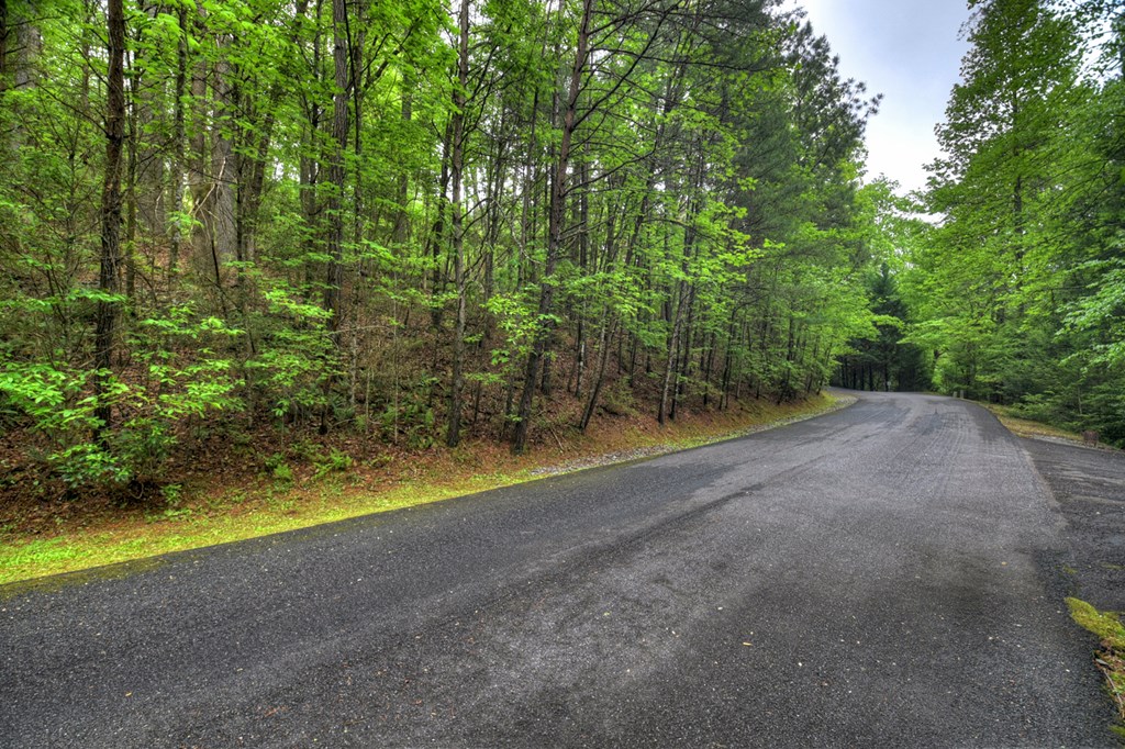 300 River Road Cherry Log, GA 30522 - Photo 119 of 119