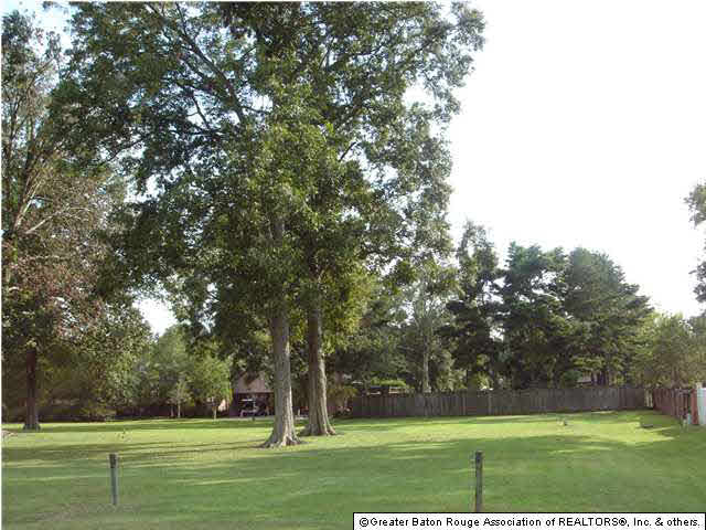 0 Dakin Avenue Baton Rouge, LA 70820 - Photo 1 of 1 Gallery Image 1