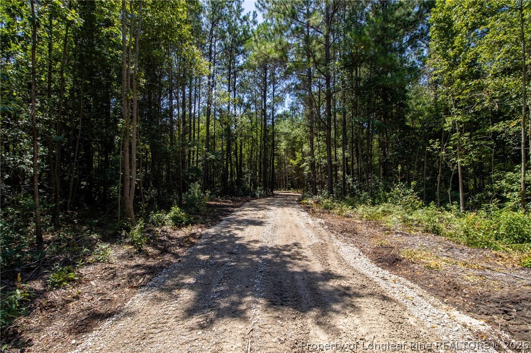 Tbd Balfour Road Lumber Bridge, NC 28357 - Photo 11 of 20 Gallery Image 11