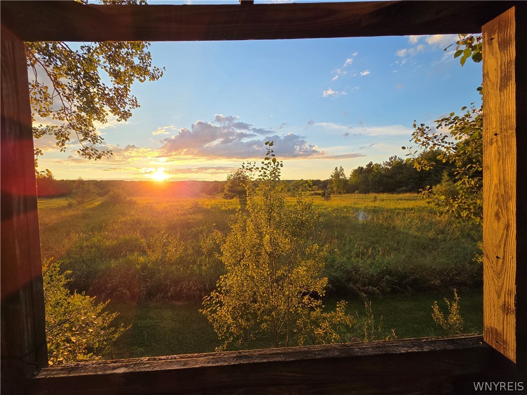 V/l Whitney Road Holland, NY 14080 - Photo 1 of 1