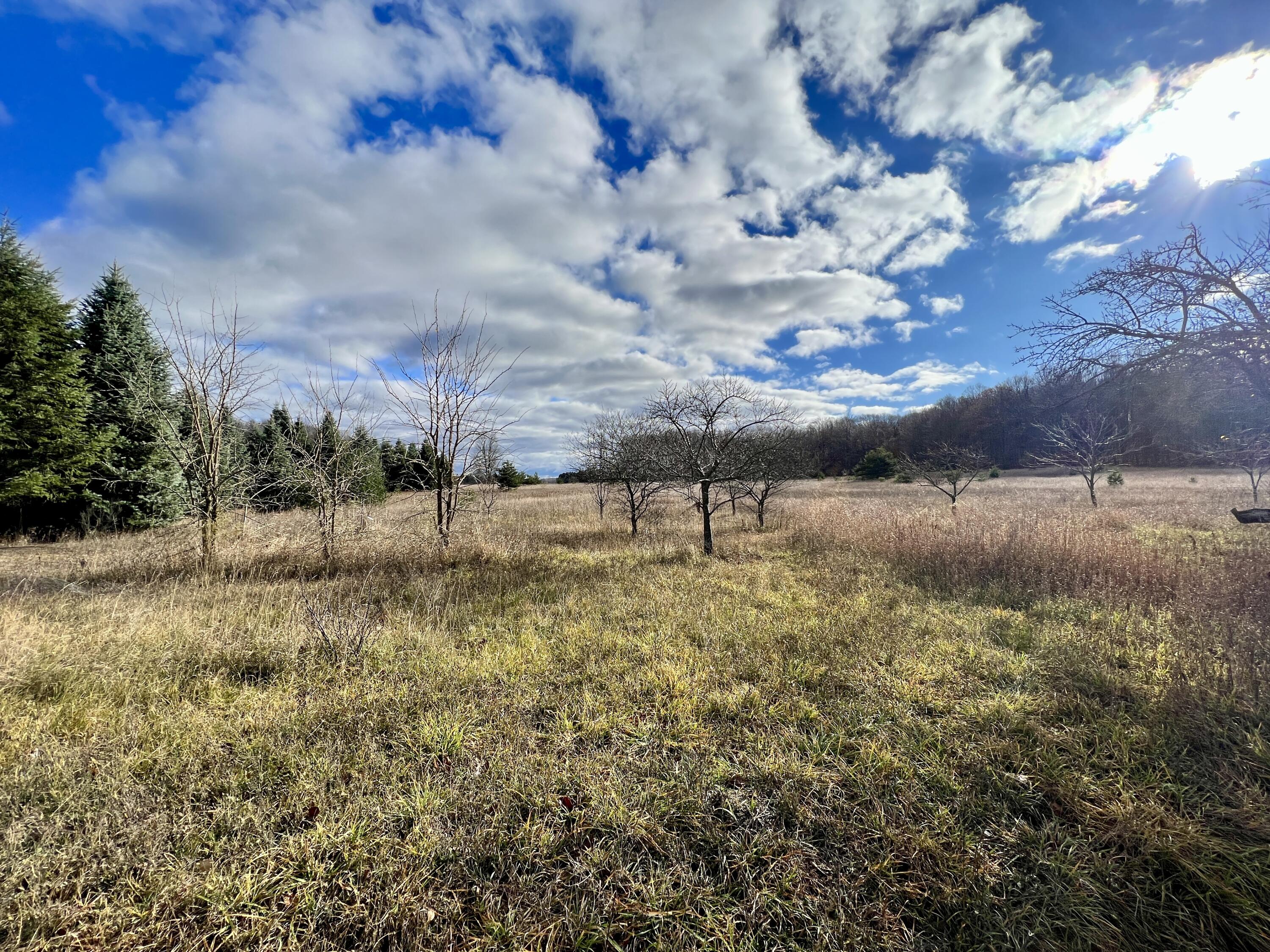 16 Mile Road Manton, MI 49663 - Photo 12 of 19 Greg Bosscher (16)
