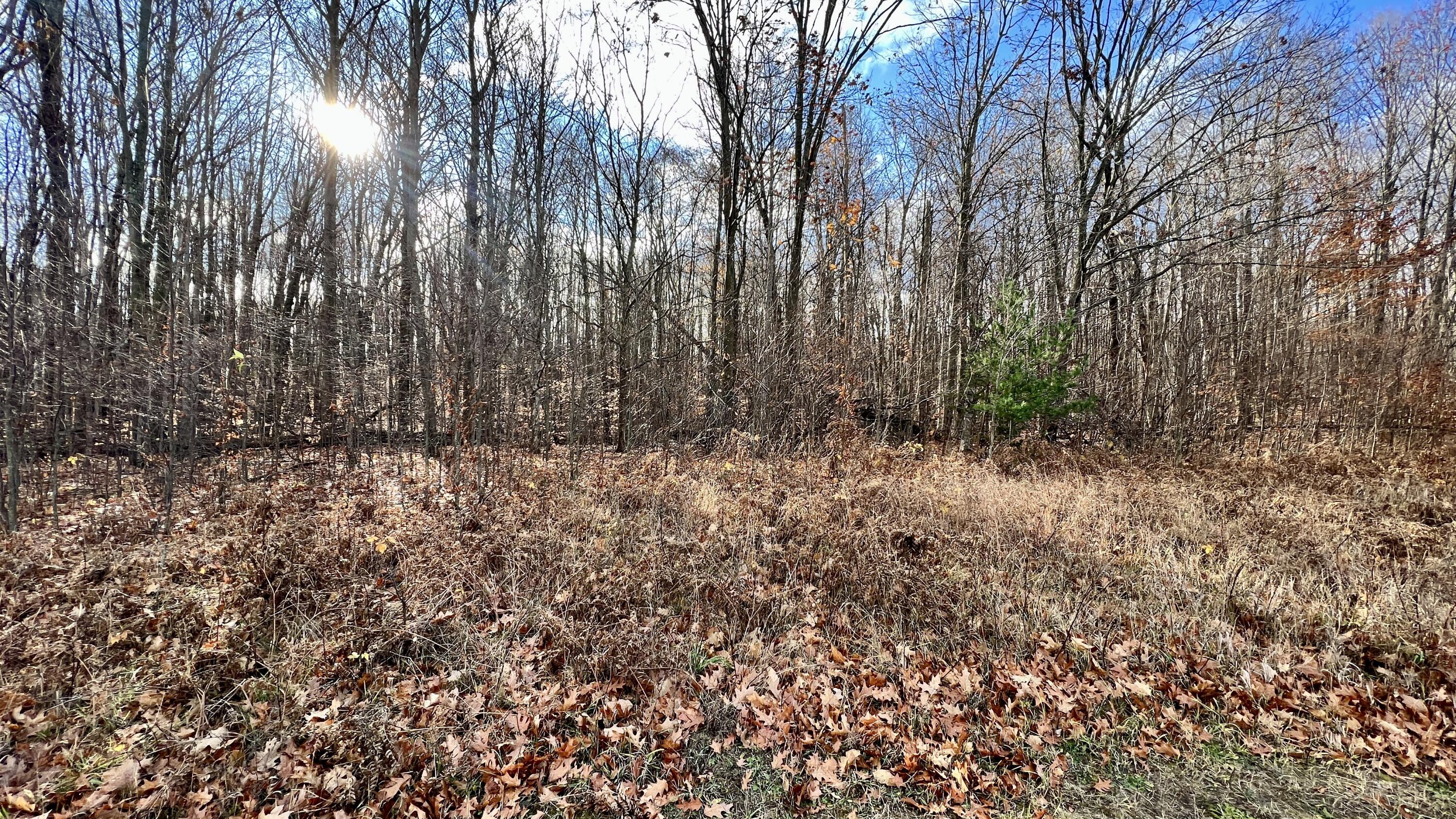 16 Mile Road Manton, MI 49663 - Photo 3 of 19 Greg Bosscher (7)