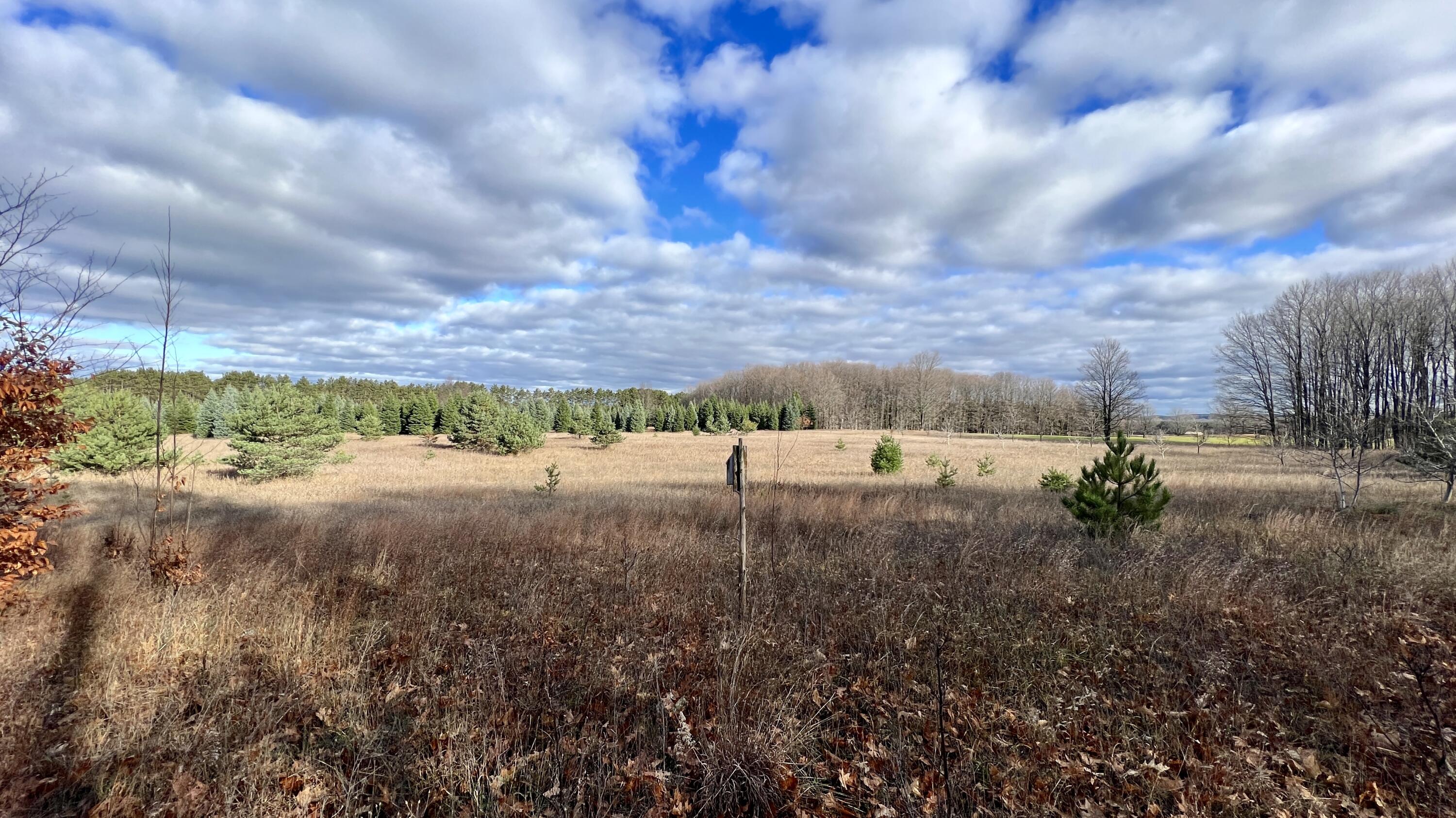 16 Mile Road Manton, MI 49663 - Photo 5 of 19 Greg Bosscher (9)