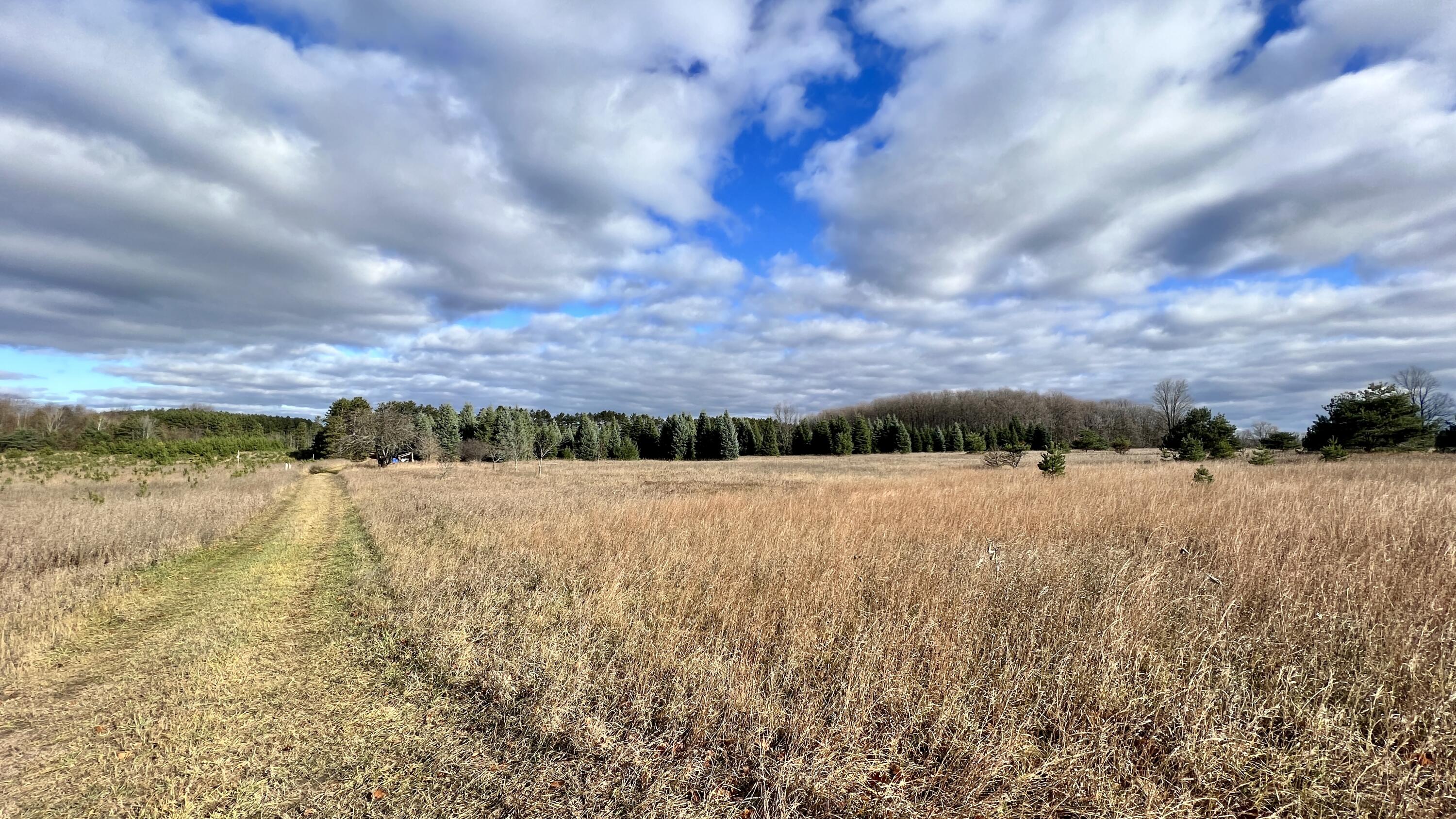 16 Mile Road Manton, MI 49663 - Photo 7 of 19 Greg Bosscher (13)