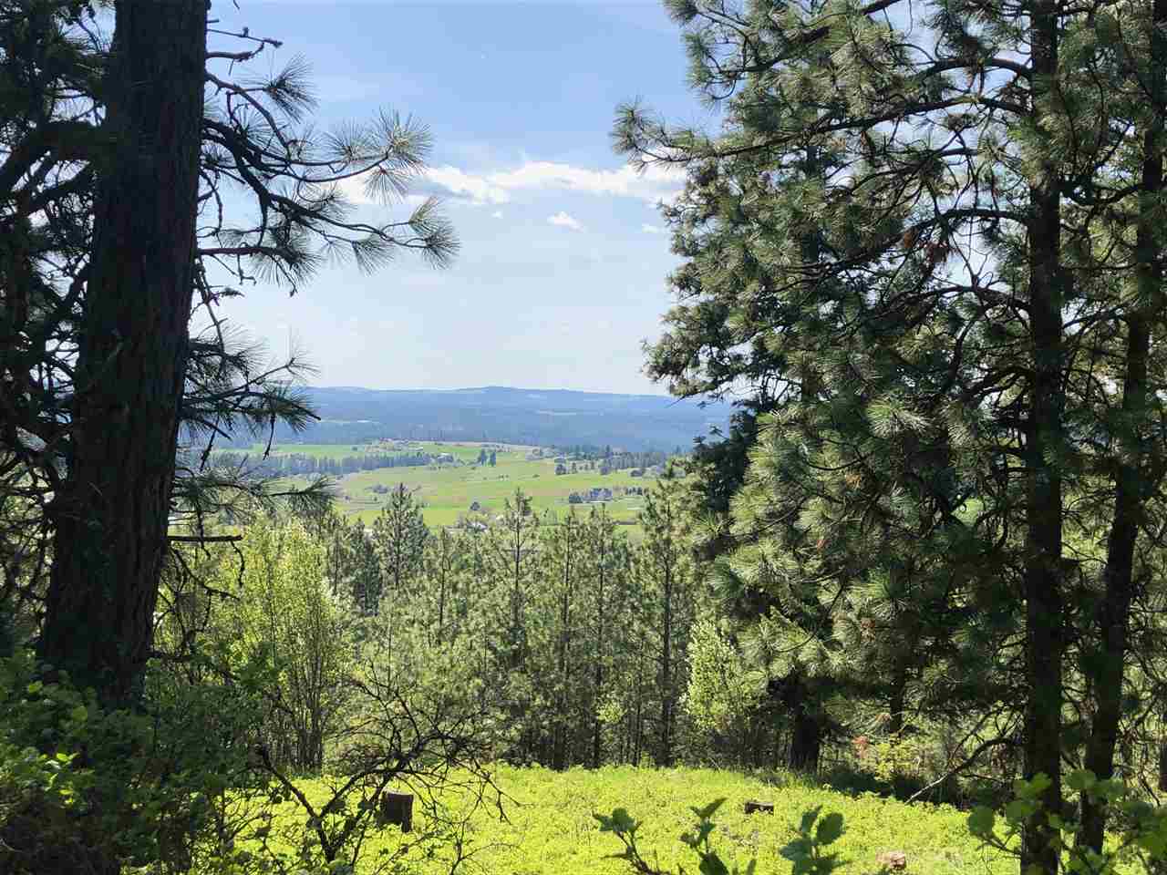 6104 East Willow Springs Road Spokane, WA 99223 - Photo 1 of 9 Gallery Image 1